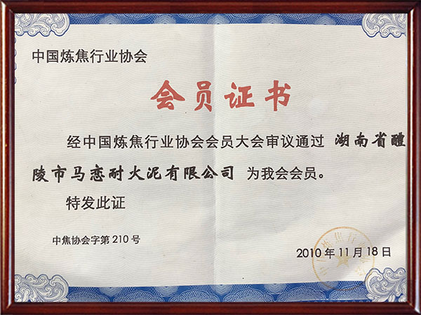 中国炼焦行业协会会员